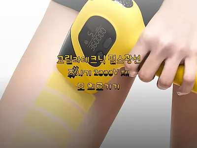 고릴라테크닉 펄스광선조사기 2000V 관련 이미지